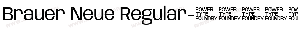 Brauer Neue Regular字体转换